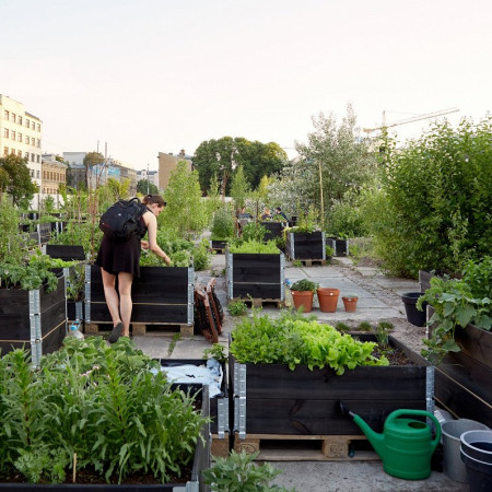 THE FORMER SPORTS PALACE QUARTER IN RIGA WILL SOON BE TRANSFORMED INTO A PROJECT WITH PERSONAL GARDENS
