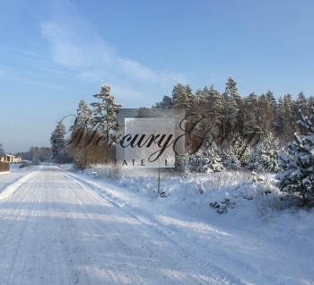 Земля с лесом на продажу