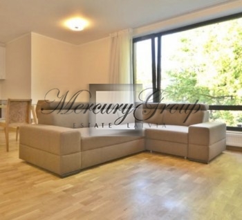For rent stylish one-bedroom apartment in Agenskalns area!