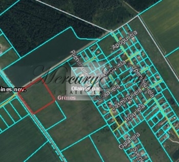 A land plot in Olaine district for sale!