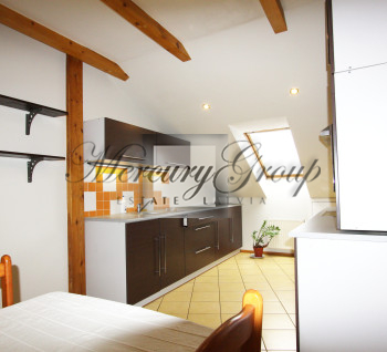 Spacious, two-storey apartment with an attic in the center of the city