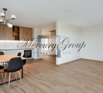 Modern house for rent in Mārupe.