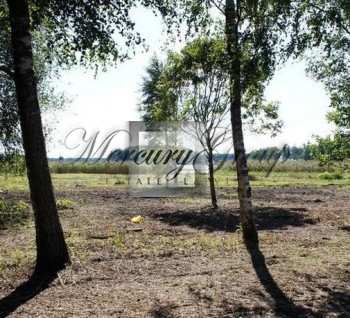 For sale: an exclusive land property with the area of 9 940,0 m2 on th...
