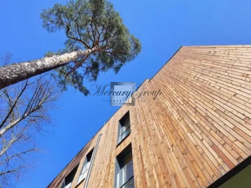 PineWood is a cozy project with luxury apartments surrounded by pine trees. Nr. 7