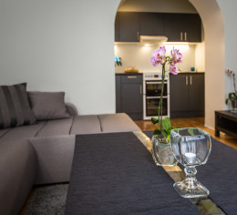 Lacplesa Residence - apartments in fully renovated house with premium locatio in Riga centre!